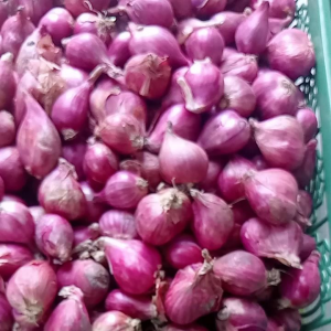Bawang Merah Segar 1 Kg – Ukuran Sedang Rata | Rumsmart