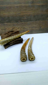 Pipa once cangklong tanduk kerbau bule motif ulir A97