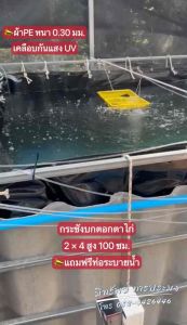 กระชังบกตอกตาไก่ (สีดำล้วน) สูง 70 100 ซม. ขนาด 1x1-2x6 ม. หนา 0.30 มม. แถมฟรี ราคาที่สุดในสินค้านี้