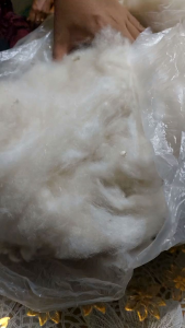kapuk randu kiloan sudah bersih tanpa biji untuk isian bantal guling kasur boneka dll