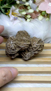 “Morocco Desert Rose Cluster – Natural Multi-Rose Formation”「摩洛哥天然沙漠玫瑰——多朵连体簇晶」