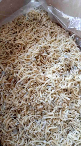 SUPER MURAH !!! TERI NASI/ teri medan 1kg
