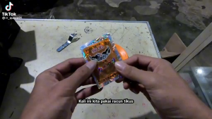 Racun Tikus Ampuh: Solusi Pengendalian Tikus di Dalam & Luar Ruangan