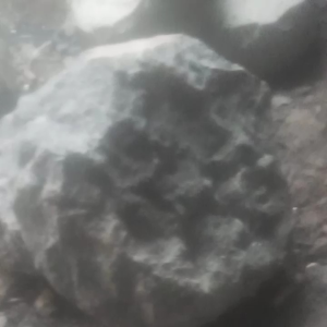 COBECK MUNGIL ORI BATU ASLI