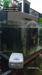 Máy Sủi Oxy Tích Điện Jebo 9950. Phụ Kiện Hồ Cá Máy Sủi Tích Điện