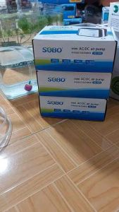 Máy sục sủi khí oxy tích điện 2 vòi SOBO SB-4000. Phụ kiện hồ cá Oxy tích điện