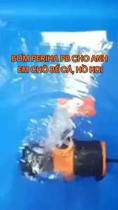 MÁY BƠM ĐẨY PERIHA PB 5000  PB 7000 PB-9000   PB 10.000 PB 12000 PB 14000.