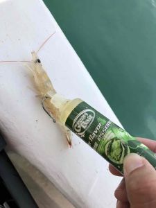 Greenbait Umpan Perisa Ikan Air Masin / Tawar 60ml per botol minyak Green Oil Machine Greenpower Gigabait Greenbear - Lazada