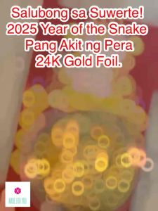 MFY 2025 Year Of Snake Lucky 24K Gold Coin Foil  Wealth Red Envelope Wallet Bag Charm New Year Gift Blessed Energized Cleansed 1PC