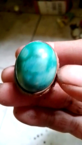 Batu Pirus Jumbo: Dekorasi dan Penataan Taman