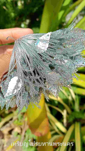 เลื่อมใบร้อยดิ้นสีเงิน 100 ชิ้น ชุดตกแต่งเหรียญโปรยทาน