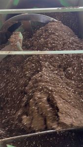 ดินปลูกแคคตัส กระบองเพชร ไม้อวบน้ำ Cactus Soil สูตรพรีเมี่ยม