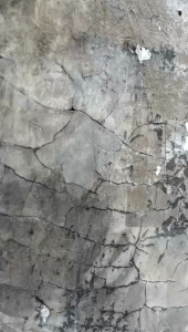 T-Shirt ratukan ibumu kain katun combet kaos kata kata kaos viral kaos pria distro kaos terbaru