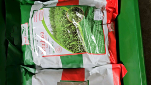 Hạt Giống Cỏ Sả Lá Lớn Mombasa Ghine Gumbo Tỉ Lệ Nảy Mầm Cao ( Hàng Bảo Đảm)