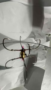 lưỡi câu tứ tỳ 15