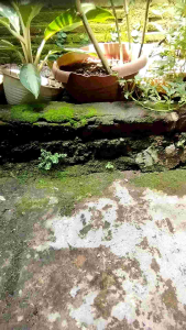 Tas Multifungsi Stylish & Praktis untuk Sehari-hari- slingbag waterproof 2in1 dengan tali panjang/selempang pria waterproof/handbag waterproof