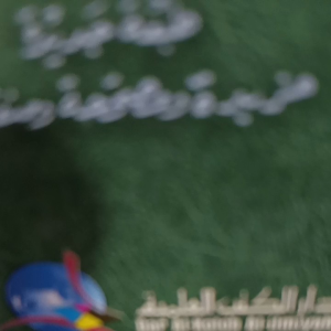 kitab  : Assafinatul qodiriyah
