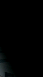 Shineskin Skincare Premium Bright Night Cream Malam Gratis Ongkir