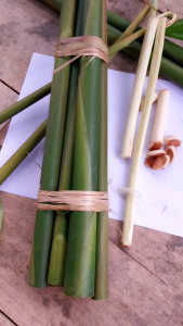 Batang Kecombrang Muda Segar 1Kg Organik Siap Masak