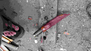 Pisau Dapur Mini Khusus Nyeset Kupas Kulit Garpu