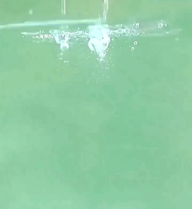 PROMO CD ANAK BOXER MURAH MERIAH BAHAN KATUN SUPER LEMBUT