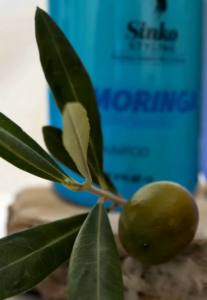 Sinko Styling Argan Oil  Nourishing Hair Shampoo 500ml (Product of Australia)