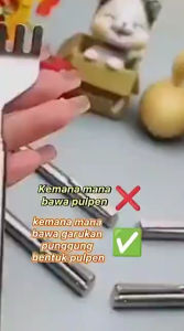 Tongkat Cakar Alat Garuk punggung Teleskopic Panjang Pendek Anti Karat