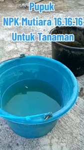 Pupuk Bunga NPK 16-16-16 Mutiara Biru repack 20Gram & 50gram Untuk Tanaman