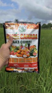 HUMIC GA3 COMBI- HỮU CƠ HUMIC CANADA GÓI 1KG NHẬP KHẨU NUÔI DƯỠNG CÂY TRỒNG TOÀN DIỆN