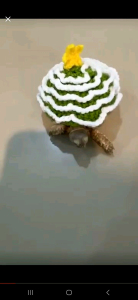 Temsuk : ชุดเต่า ชุดเต่าบก ชุดเต่าซูคาต้า ลายต้นคริสต์มาส 🎄