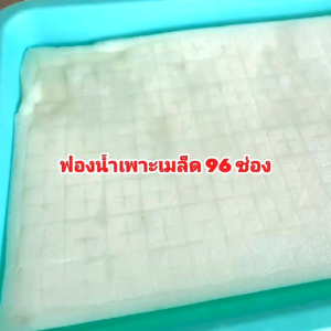 ฟองน้ำเพาะเมล็ด ฟองน้ำเพาะกล้า ปลูกผักไฮโดรโปนิกส์ เนื้อละเอียด 96 ช่อง แบบมีขอบ