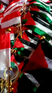 Bendera Palestina Indonesia Silang Kecil