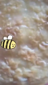 โรตีใบเตย โรตีสำเร็จรูป รสใบเตย อุ่นทอดง่ายๆ อร่อยหอม 1แพ็ค มี 5แผ่น