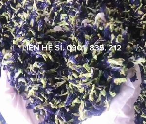 Hoa Đậu Biếc sấy khô ( Butterfly Peas ) dùng pha trà.