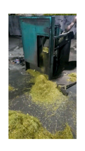 beneng atau daun talas kering murni tradisional 0.25 kg /250 GRAM