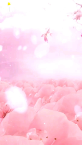 Parfum Laundry Wangi Awet A+ 250 ml