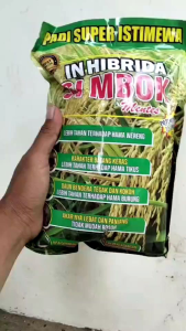 (5KG) BENIH PADI SUPER ISTIMEWA SIMBOK MENTES FREMIUM TERBARU ORIGINAL UMUR PANEN 85-90HST