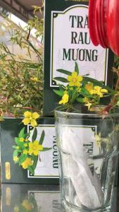 Trà Rau Mương Túi Lọc 30 gói - HP - Dạ Dày - Trào Ngược