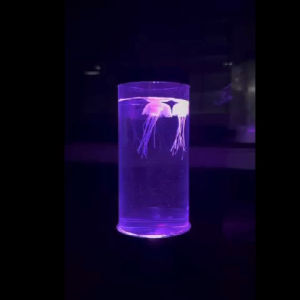Jellyfish Lamp - Versatile Night Light and Decoration LED RGB
