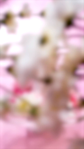 JGLOW ALL VARIAN FACIAL WASH - 100 ML