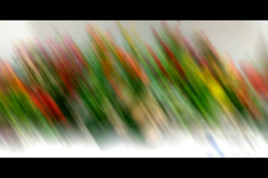 Rangkaian Tanaman Zebrakraut/Bunga hias plastik/Bunga artificial