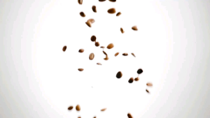 Umeda Bru Mesin Kopi Multi Kapsul / Nespresso Capsule Coffee Maker