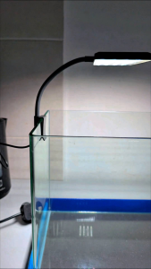 🔥🔥[Ready Stock]🔥🔥AQUA+ AM-10W Aquarium LED Light | Super Bright Fish Tank Light | Plant Growth Lamp | Magic Light 1+