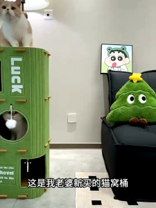 [SG]🚚 Multi-layer Cat House All-Season Cat Climbing Frame Cat Tree Integrated Cat Tree Hole Scratching Board Enclosed