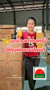 ถุงห่อผลไม้กันแมลง ถุงห่อมะม่วง ถุงคาร์บอน ขนาด 18x28 ซม. แพค 100 ใบ