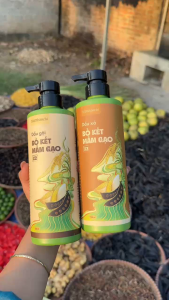DẦU GỘI BỒ KẾT MẦM GẠO X2 MẬT THẢO CHI