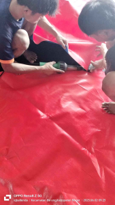 Kolam Terpal Bulat Bahan A12 Merk Sakura: Berbagai Macam Ukuran