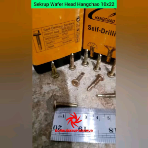 (50 pcs) Sekrup Roofing Wafer Head SDS #10x22 / Skrup Wafer Head 2.2CM