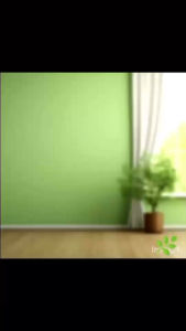 น้ำยาดับกลิ่นฉี่แมว ฉี่หมา อึแมว (สีฟ้า/กลิ่นบลูโอเชี่ยน) สารสกัดจากธรรมชาติ ปลอดภัยต่อสัตว์เลี้ยง ขนาด1ลิตร แถฟรีฟ้อกกี้&ผ้า