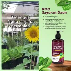 TERLARIS PUPUK INFARM - Pupuk Organik Cair Tanaman Daun / Sayur 500mL POC Kompos